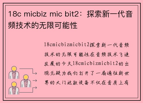 18c micbiz mic bit2：探索新一代音频技术的无限可能性